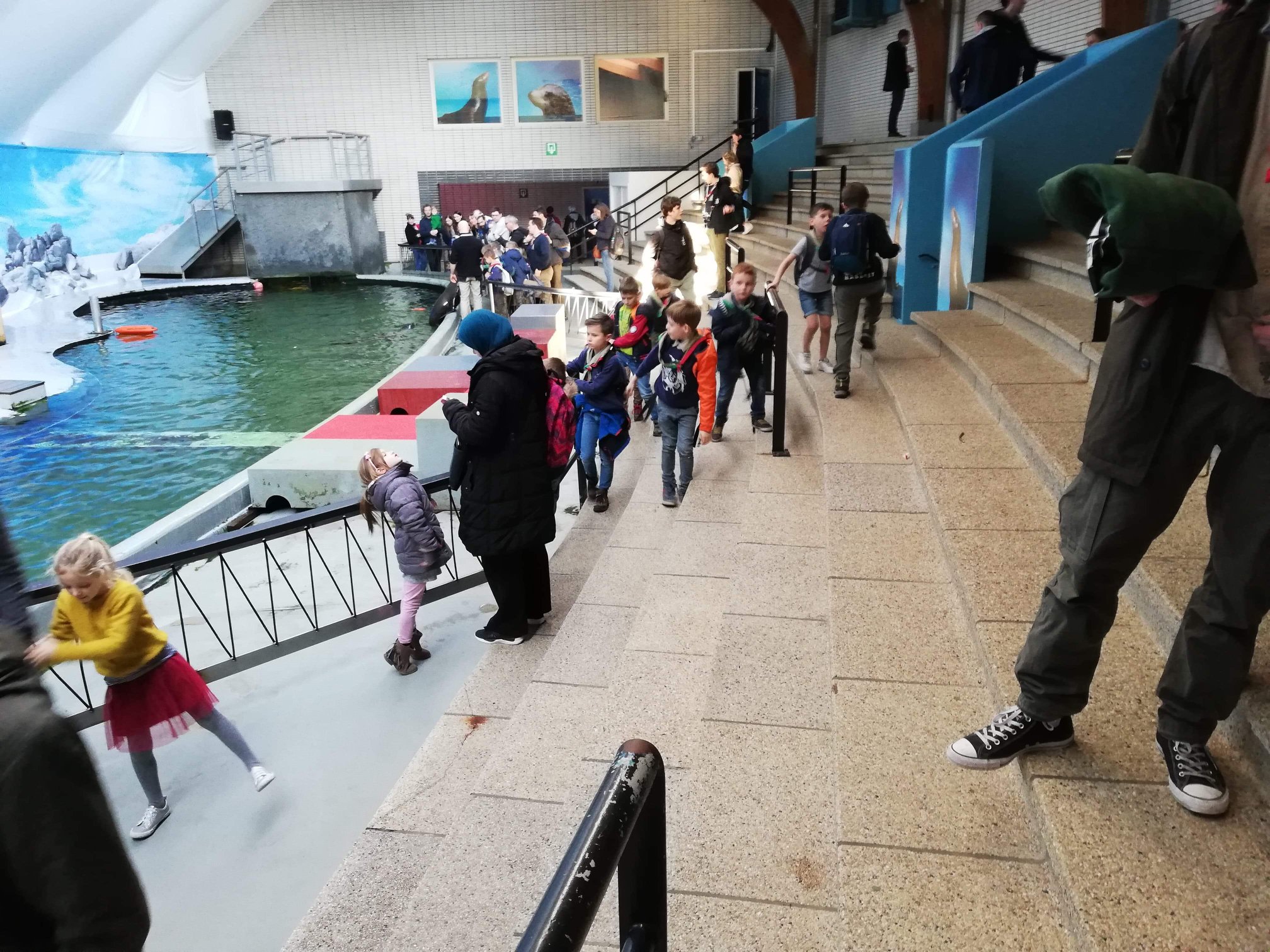 Sint-Martinus den XIIde - Zoo Antwerpen Kapoenen